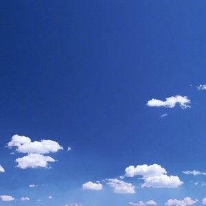 Meet your Posher, Sandy